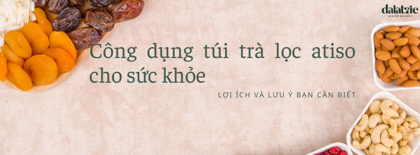 Công dụng túi trà lọc atiso