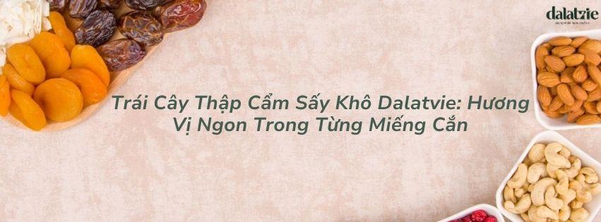 Trái Cây Thập Cẩm Sấy Khô Dalatvie: Hương Vị Ngon Trong Từng Miếng Cắn