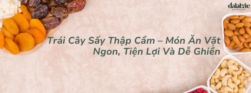 trái cây sấy thập cẩm siêu ngon