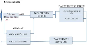 quy trinh say